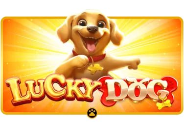 33dgame